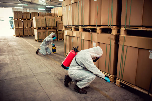 Best Insect Control  in Lowell, MA