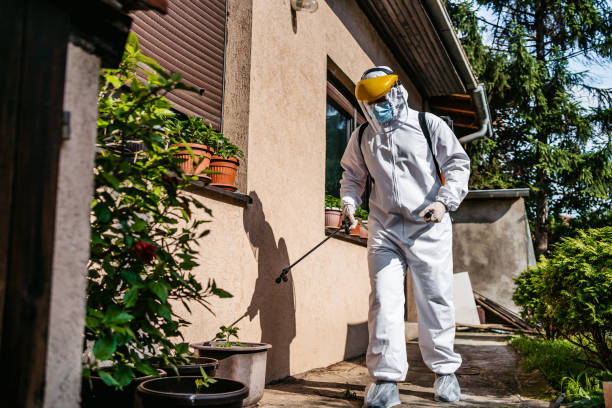 Best Commercial Pest Control Services  in Lowell, MA
