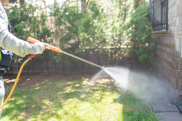 Best Local Pest Control Services  in Lowell, MA