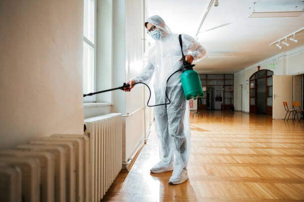 Best Pest Inspection Near Me  in Lowell, MA